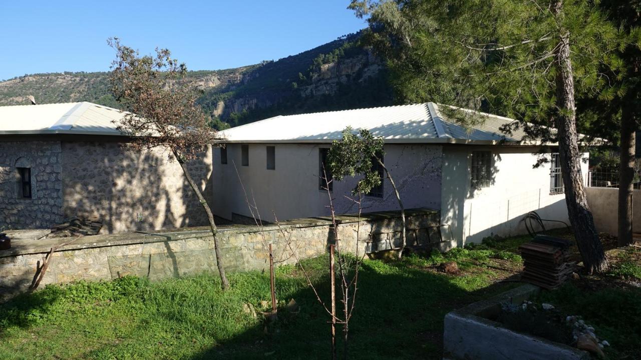 הוילה Aegae The Old Olive Mill House מראה חיצוני תמונה